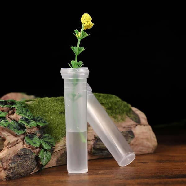 100 stk. plastblomsterrør for blomsterstengler og krysantemum