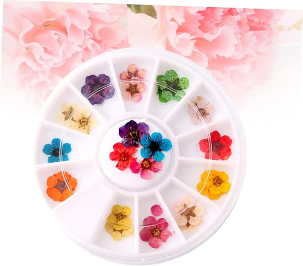 Tørrede blomster neglekunst tilbehør kronblade blomsterfarver til manicure og håndværksprojekter