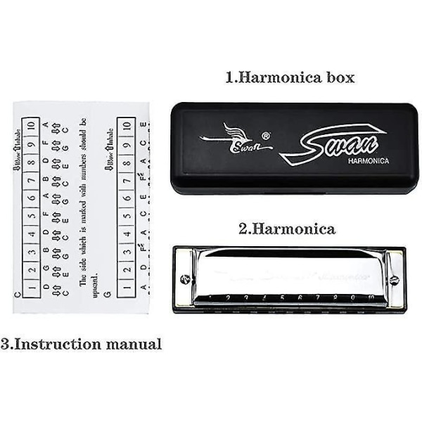 Blues Harmonica Key C 10 reikää 20 ääniä Professional Fosphor