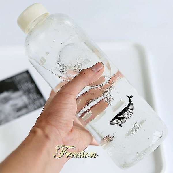 1000ml Ocean Series Sälval Glasvattenflaska
