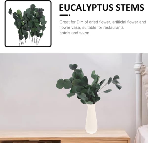 1 bunt tørkede eukalyptusbladstilker Eukalyptus midtpunkter 45 cm bevart blomst rustikk gårdsstil