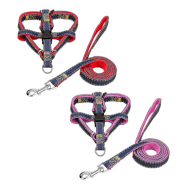 2 st Hundsele & Koppel i Nylon för Promenader