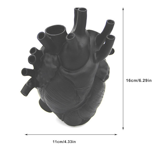 Anatomisk Hjärtvas Blommor Hjärtformad Skulptur Resin
