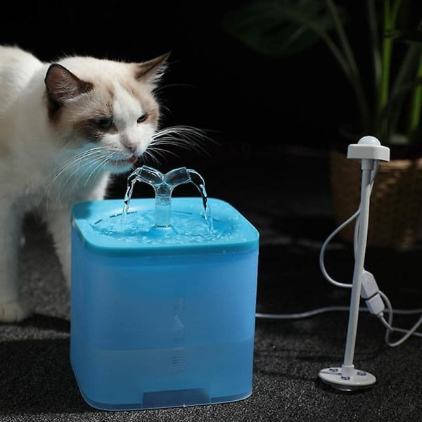Vanndispenser for katter og hunder Dispenser for kjæledyr Vannfontene