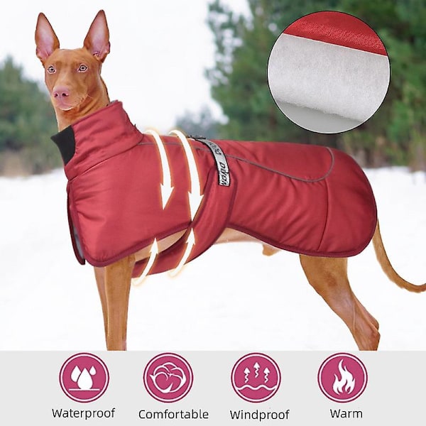 Efterårs- og vintertøj til store hunde, varm jakke til udendørs, reflekterende hundejakke, luksuriøst kæledyrstøj i mellem og store størrelser black 4XL
