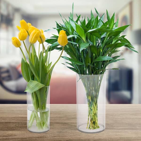 2-pack vasdekor blomvas cylindrisk PET-material modern enkel elegant stil heminredning