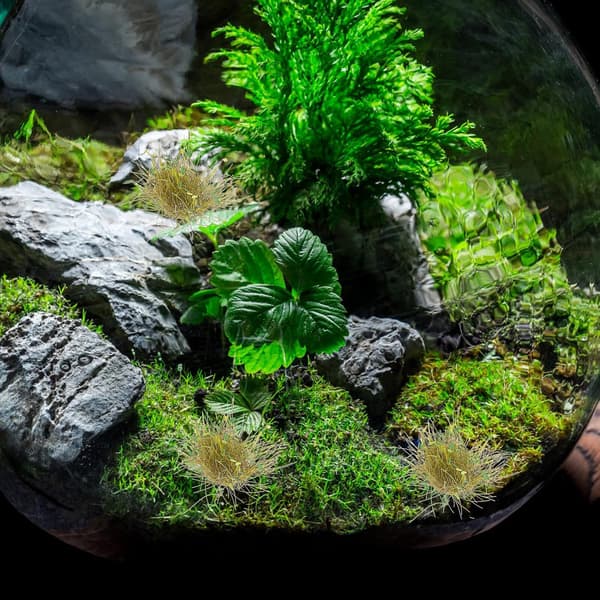 Modellgressdotter for Diorama-landskapsarbeid, 28 stk. Miniatyrgressklumper Grønne blader
