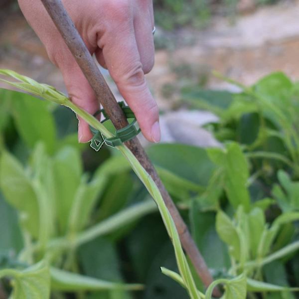 200 stk Hageplante Støtte Klips, Tomat Klips, Spalte Klips, For Agurk Blomst Squash Vine, 1 (haoyi-yuhao