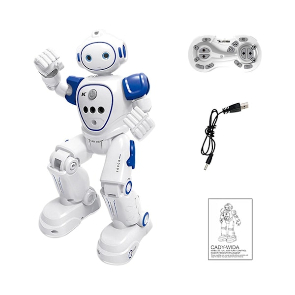 Fjärrstyrd Robot med Geststyrning Programmerbar Smart Robot, RC Robot Leksak