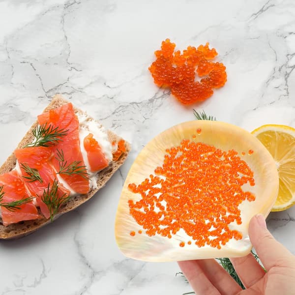 Skal Dessert Serveringsfad Kreative Mad Serveringsfade Små og Delikate Skalform