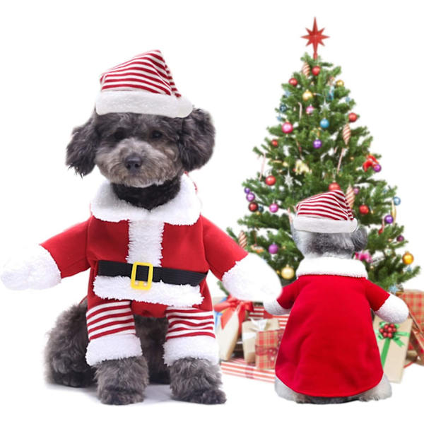 Jul, Katt Jul Med Tomteluva, Juldjursdräkt Julhuvajacka. XL
