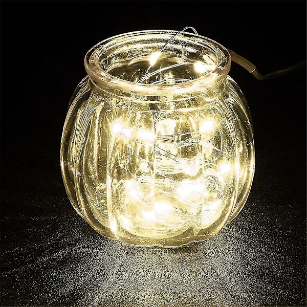 10m 100LED 3AA Batteri Silver Wire String Light Fjärrkontroll