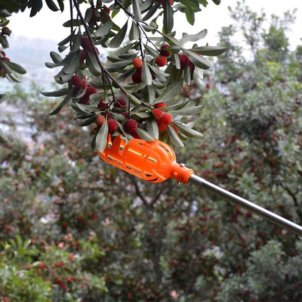 Frugtplukkerkurv til at plukke frugt - Apple Picker - Praktisk uden stang