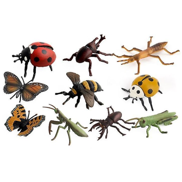Hyönteislelu Villieläinmaailman hahmot malli Hyönteisfiguurit Set Lapset Lapset Biologia Sc