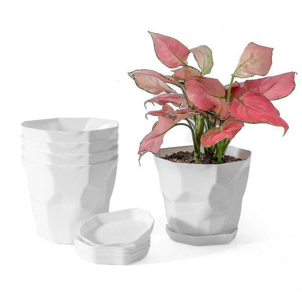 5 stk Små Blomsterpotter Plastik Drænhuller Underkopper Planter