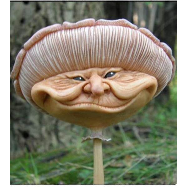Miniatyr Lykkelige Sopp Resin Statue Med Gammel Kvinne Ansikt Hage Yard Lawn Dcor