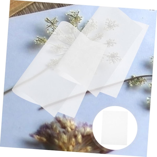 Blompressning för vuxna 30 st Torkat blompressningspapper Refill Absorberingspapper