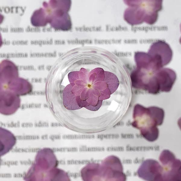30 stk. tørrede blomster til gør-det-selv-håndværk og scrapbog, naturlige elegante pressede blomster