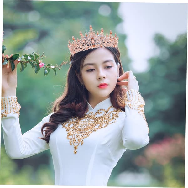 Delikat brudkrona med elegans romantik bröllopsfest tiara