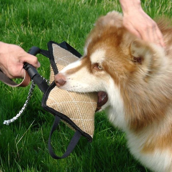 Hundebidepude Hampetræning Tyggetandslegetøj