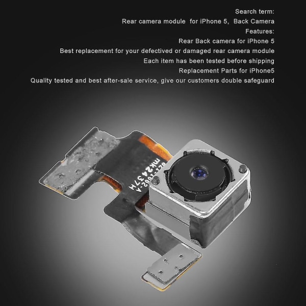 Bakkamera Modul Utbytte Flex Kabel iPhone 5 5g