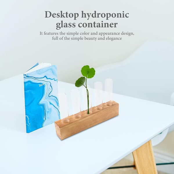 Hydroponisk glasplanteringsvas med träställ, rustik och stilren heminredning