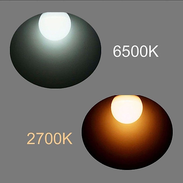 2-pack 12W LED-globbulb B22 E26 E27 G95