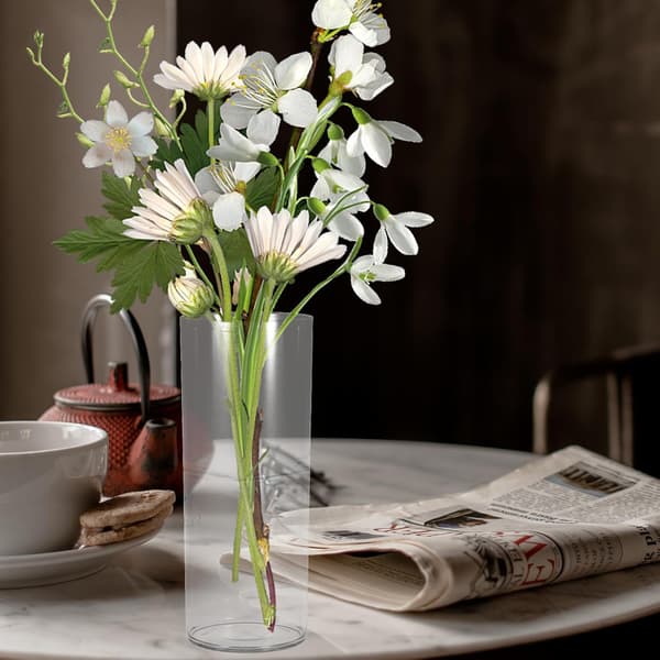 Plast torr blomvas hög transparens och lätt PET cylinderdesign