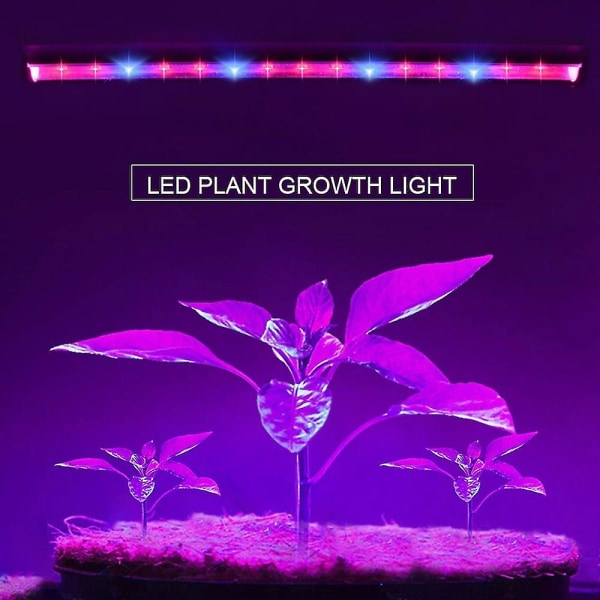 30 cm Led Grow Light 6w T5 -putki täyden spektrin kasvilamput