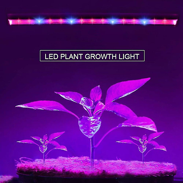 30cm LED-vekstlys 6w T5-rør Fullspektrum Phytolamps