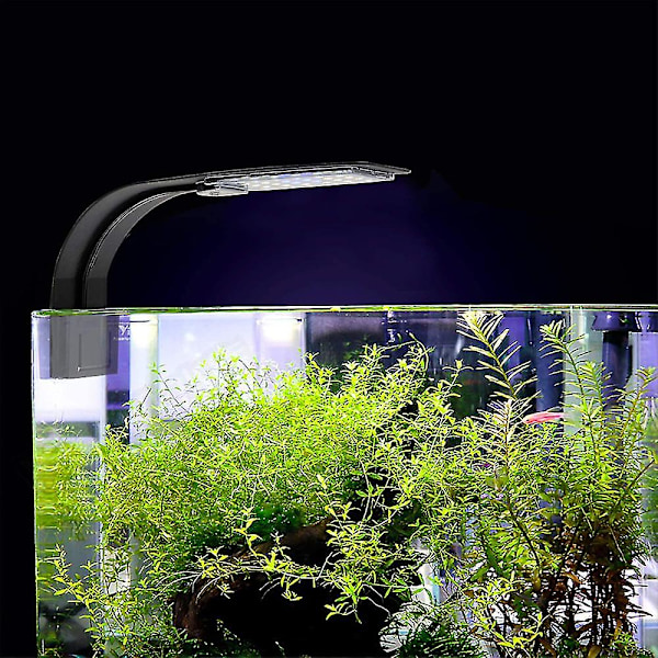 Akvarielys Clip, Ultratynd Akvarielys Med Hvidt Og Blåt Lys, 24 LED Akvarielys