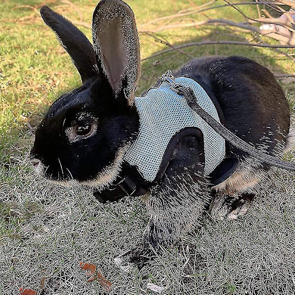 Kaninsele Bekväm Justerbar Dragverktyg Iller Råttor Mjukt Nätsele Koppel Väst Set Husdjurstillbehör Grey XL