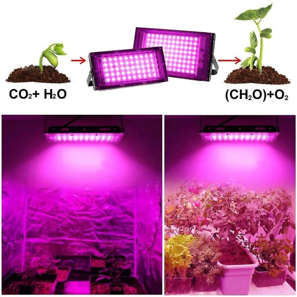 100w Full Spectrum Grow Light Led Plant Lamp Full Spectrum Led Grow Light