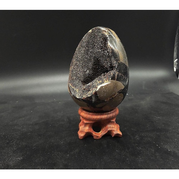 Natural Dragon Septarian Geode Egg Mineral Eximen