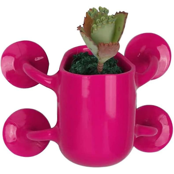 Väggmonterad Mini Blomkruka Sukkulenter Blomkruka Vägg Sugkopp Blomkruka (rosa)