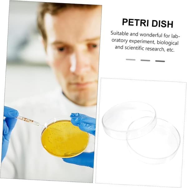 Cellodlingspetriskålar Högborosilikatglas 150 mm Laboratorieglaspetriskålar