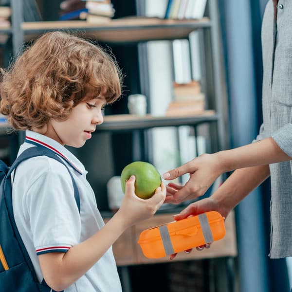 6st Lunchlåda Fasta Remmar Bento Box Elastiska Band Polyester Plast Miljövänliga Elastiska Band