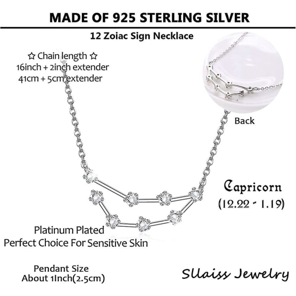 925 Sterling Silver Horoskop Stjärntecken Halsband För Lmell Kvinnor 12 Constellation Present