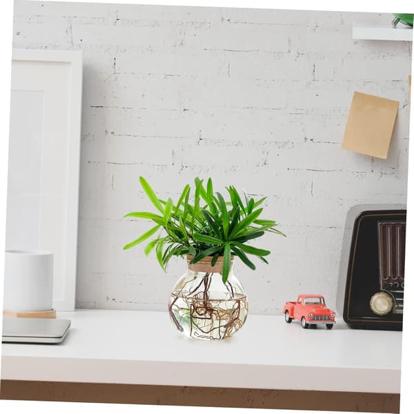 Glas Hydroponisk Planteplanter Skrivebordsvase til Hydroponiske Planter med Design