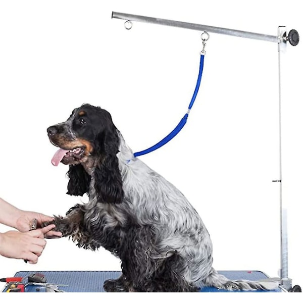 Husdjursbadning Tether Straps Pet Dog Grooming Loop Dog Grooming Loops Leash