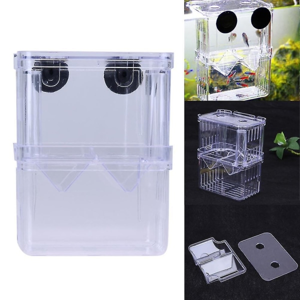 Akryl Fish Tank Breeding Isolation Box Aquarium Incubator