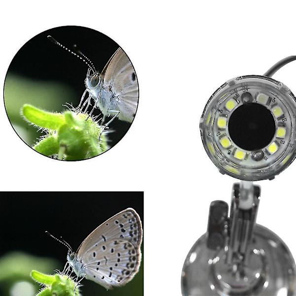 50-500x 2MP USB Digital Mikroskopkamera med 8 LED-lampor
