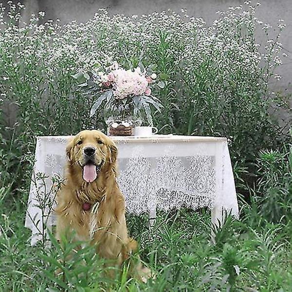 Elegant Hvit Blondert Dug Bryllup 60''x120''