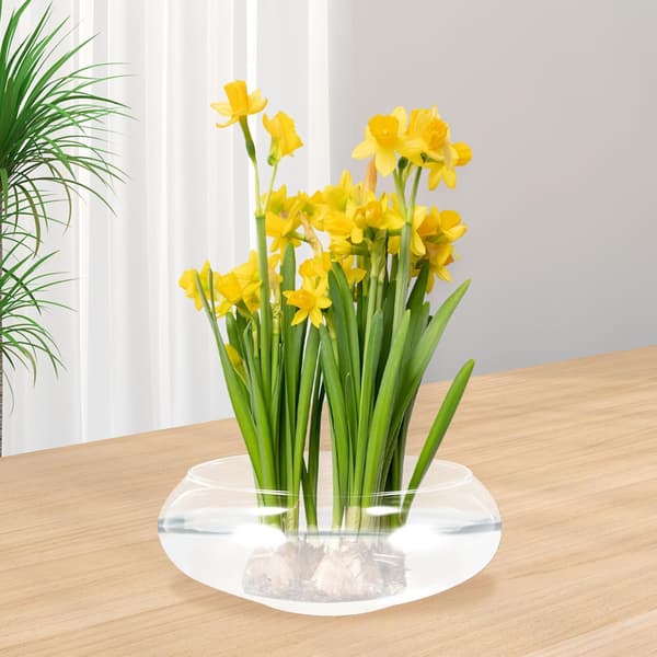 Växtvas Suckulenta Krukor för Växter Blomkrukor för Inomhusväxter Planteringskrukor