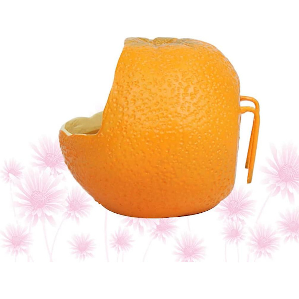 Fuglefoder Fuglefoder Skålformet Orange Papegøje Papegøje Foderretter Kop Til Små Papegøjer