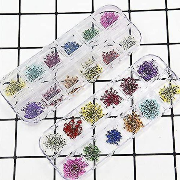 Tørre blomster negler snø perler blomster boks negl dekorasjon kunst
