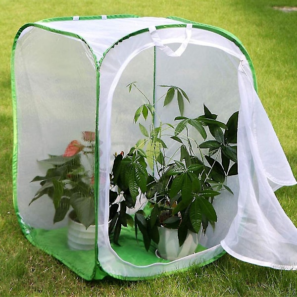 Høj Stor Butterfly Habitat Bur Collapsible Terrarium Pop-up Lnches, Insekt Og Butterfly Net Til Opdræt Indsæt