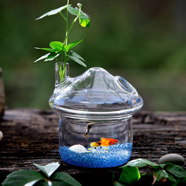 Hengende glassplantervase i soppform, akvarium for småfisk, terrariumbeholder, hjemmedekorasjon for hagen