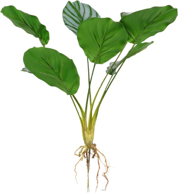 Konstgjord grön växtdekor, simulerad Calathea-växt med 9 huvuden, rund form, plastmaterial