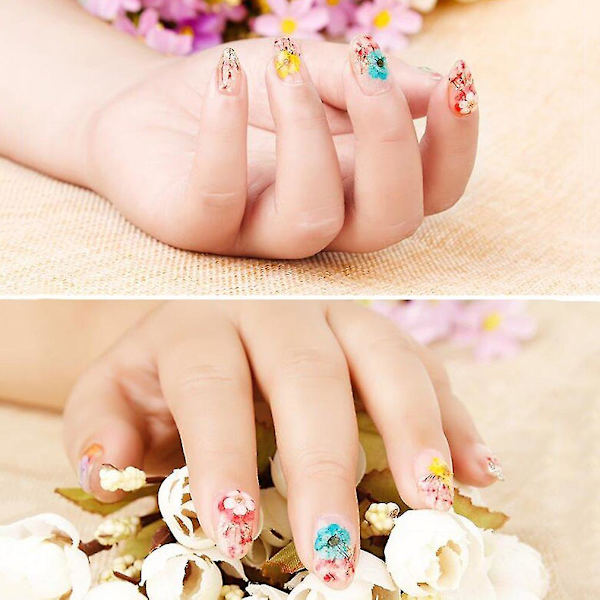 12 Färgade Mixade Torkade Blommor Nagelsalongskonst DIY Dekaler